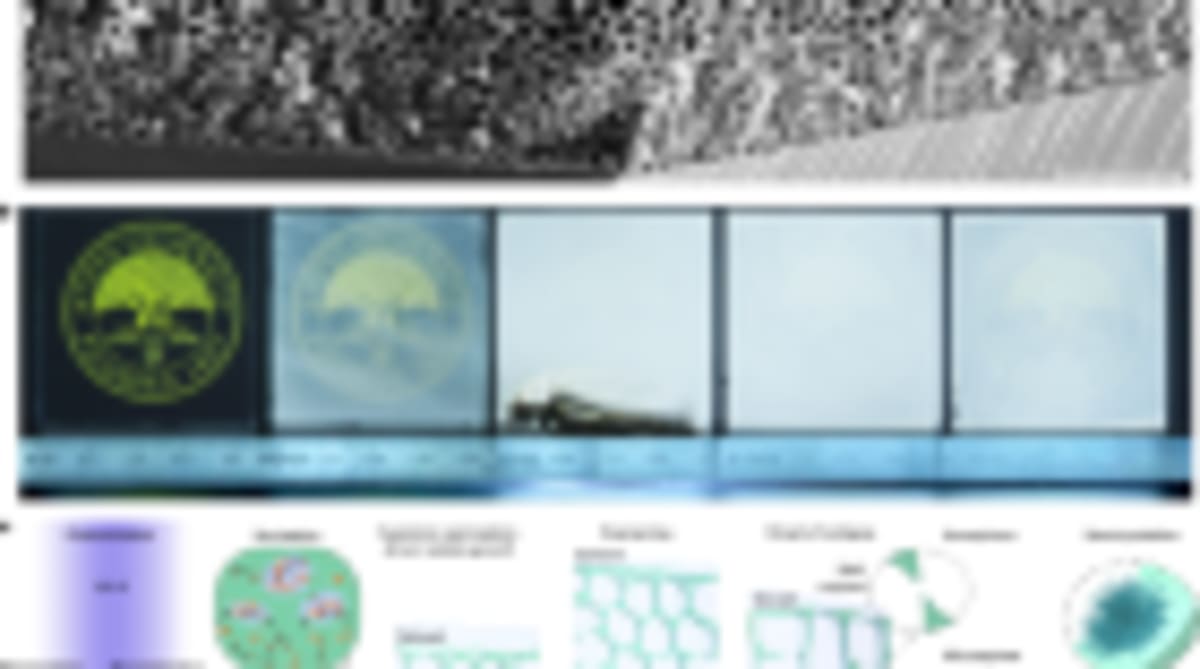 Rice Paper Battery Powers Medical Devices You Can Swallow - Image 5