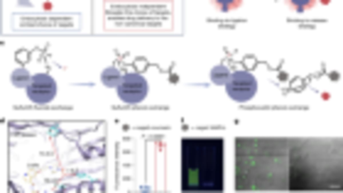Moderna Cancer Vaccine Extends Melanoma Survival in 1,100 - Image 2