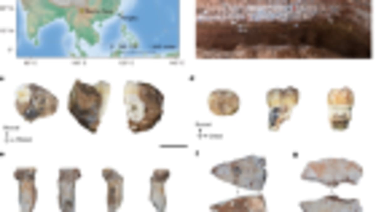 Ancient Denisovans Hunted in China for 30,000 Years - Image 4