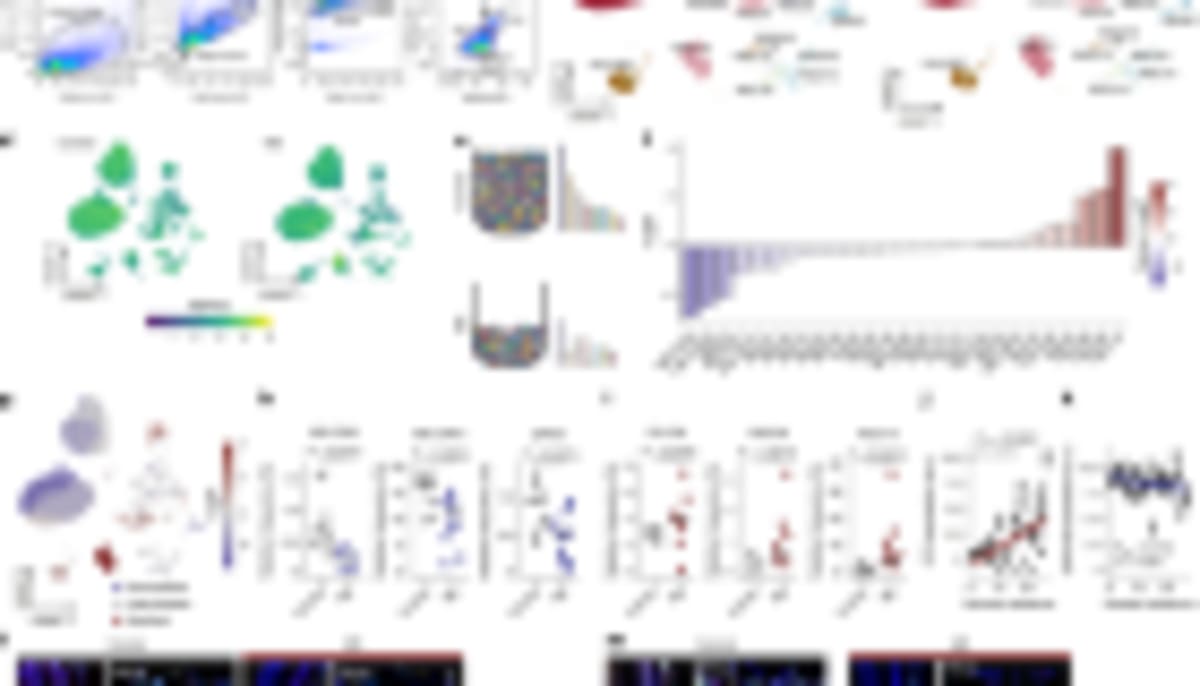 Scientists Map 1,000+ Brain Proteins Linked to Alzheimer's - Image 2