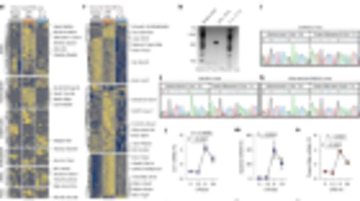 Scientists Link DNA Repair to Longer, Healthier Lives - Image 5