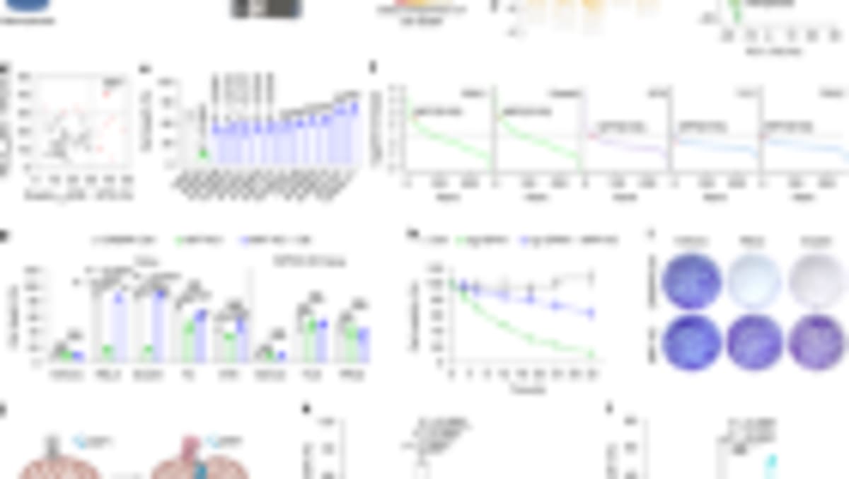 AI Team Discovers Promising Lung Cancer Treatment - Image 2