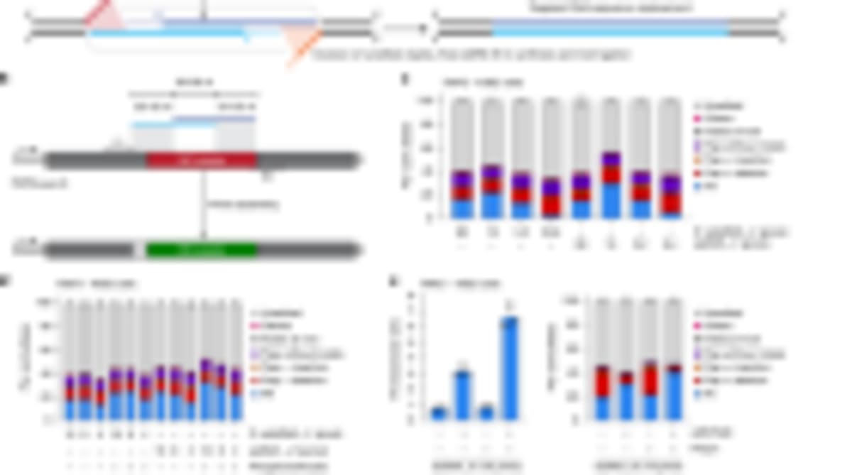 AI Team Discovers Promising Lung Cancer Treatment - Image 4