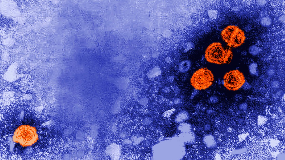 Hepatitis B Drug Achieves Functional Cure in 1 in 5 Patients