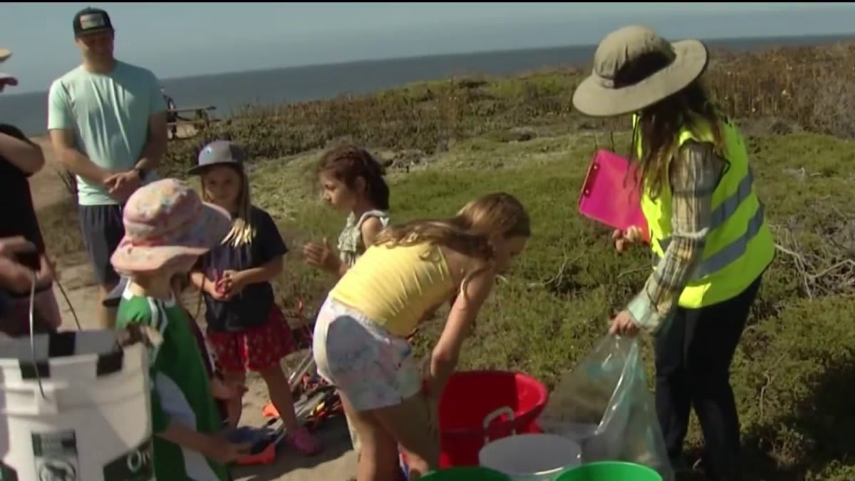 Bay Area Volunteers Clean Beaches This Saturday