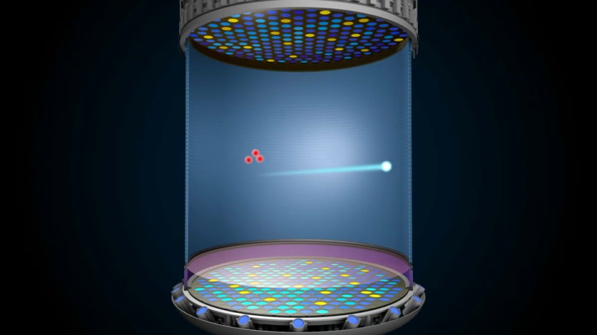 Scientists working with detection equipment at SLAC National Accelerator Laboratory in Menlo Park, California