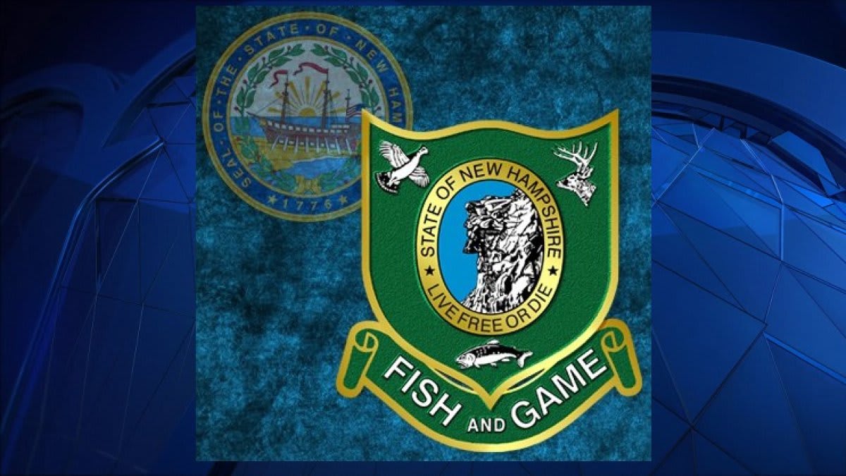 Mountain Rescuers Save Two Hypothermic Hikers in NH