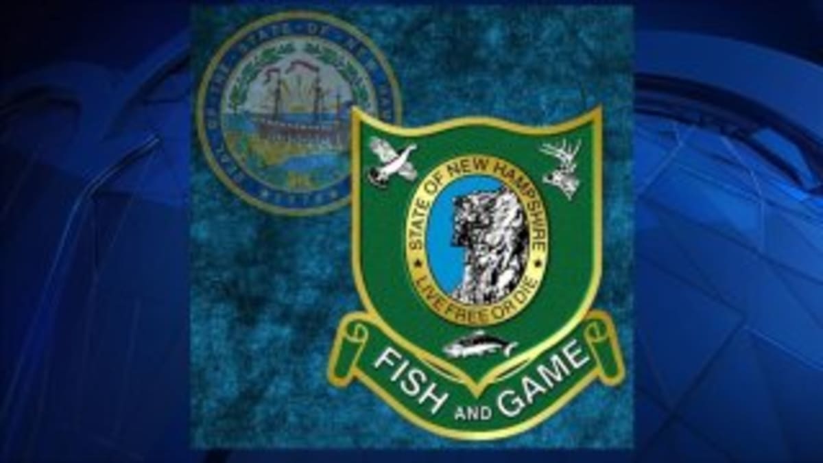 Mountain Rescuers Save Two Hypothermic Hikers in NH - Image 3