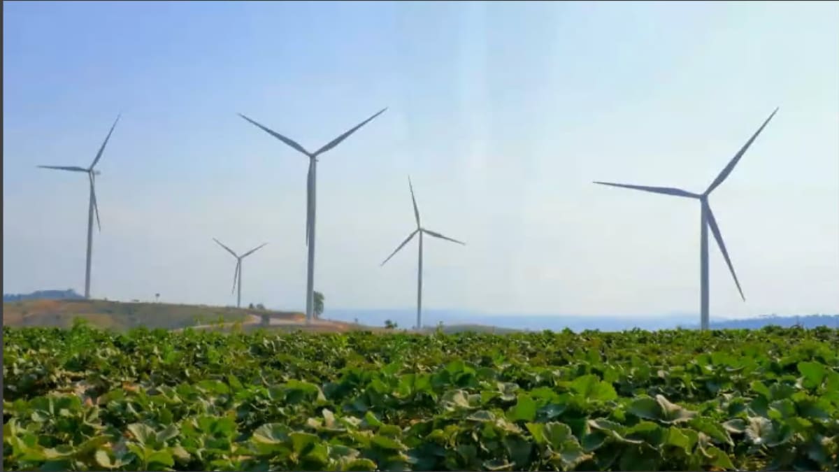 Free Tools Help Anyone Join the Fight Against Climate Change