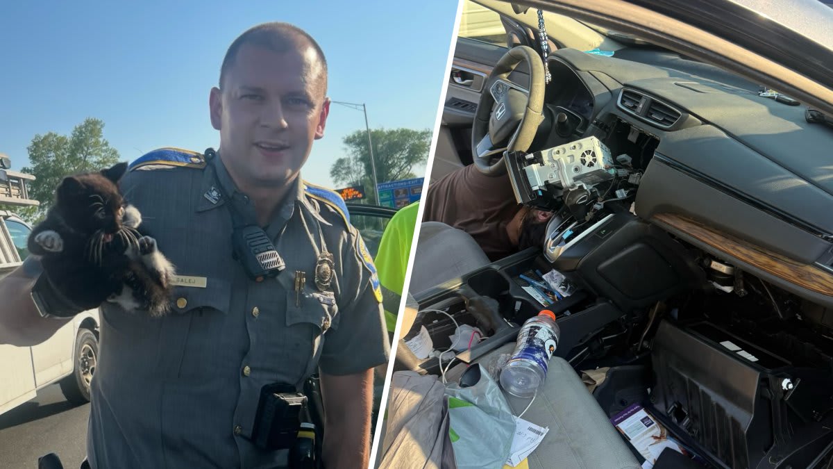 Connecticut State Police trooper carefully rescuing small kitten from vehicle dashboard compartment
