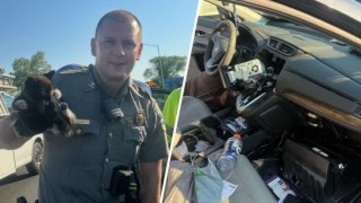 Trooper Rescues Kitten Trapped in Car Dashboard on I-91 - Image 3