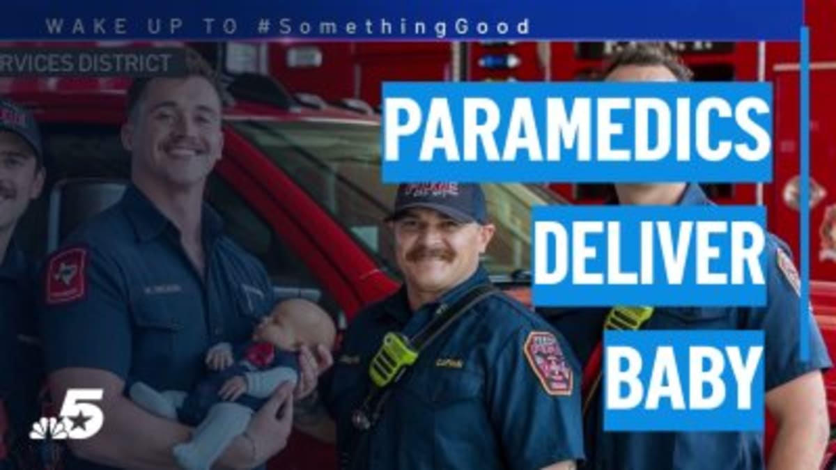 Garland Firefighter's Final Call: Kitten Rescue - Image 5