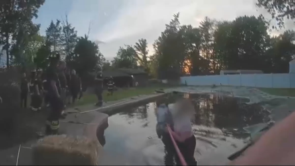 Firefighters Save Blind Horse Trapped in Swimming Pool
