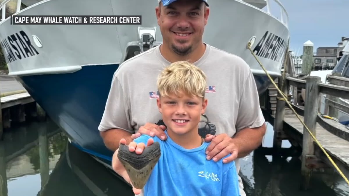 Young boy holding large fossilized megalodon tooth found at New Jersey beach