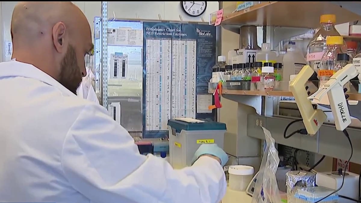 San Diego Gene Discovery Could Drought-Proof Crops - Image 5