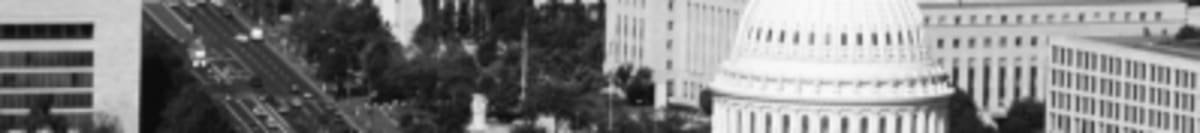 Loudoun County Volunteers Scrape 1M Lanternfly Eggs - Image 2