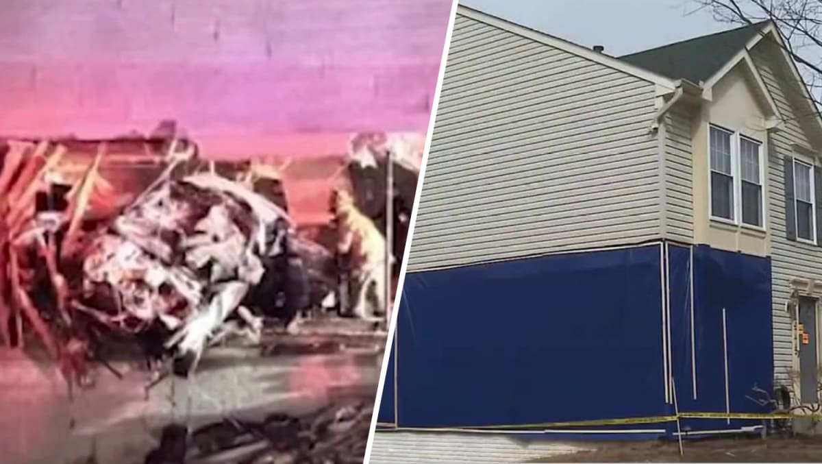 Loudoun County Volunteers Scrape 1M Lanternfly Eggs - Image 5