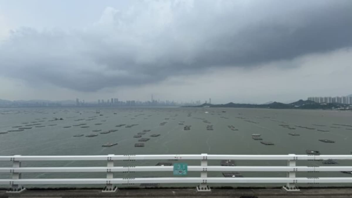 85 Million People Test New Climate-Proof City Model - Image 4