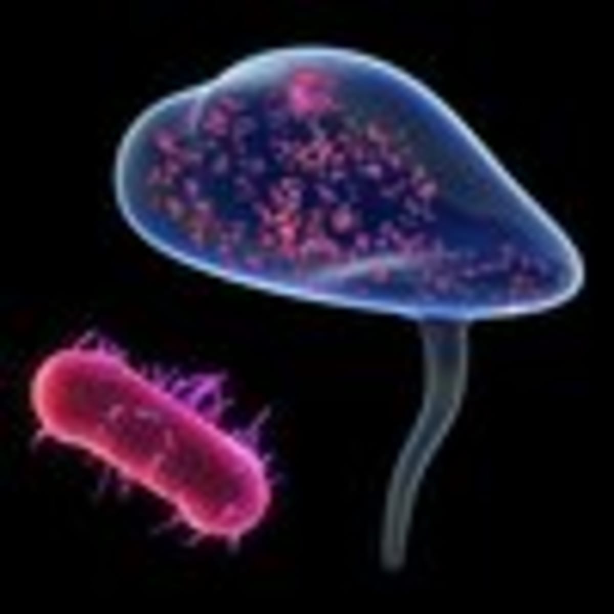 New Study Helps Millions of Women Misdiagnosed With UTIs - Image 3