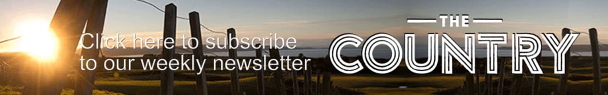 New Zealand Farm Turns 106 Years of Heritage Into Organic Milk - Image 2