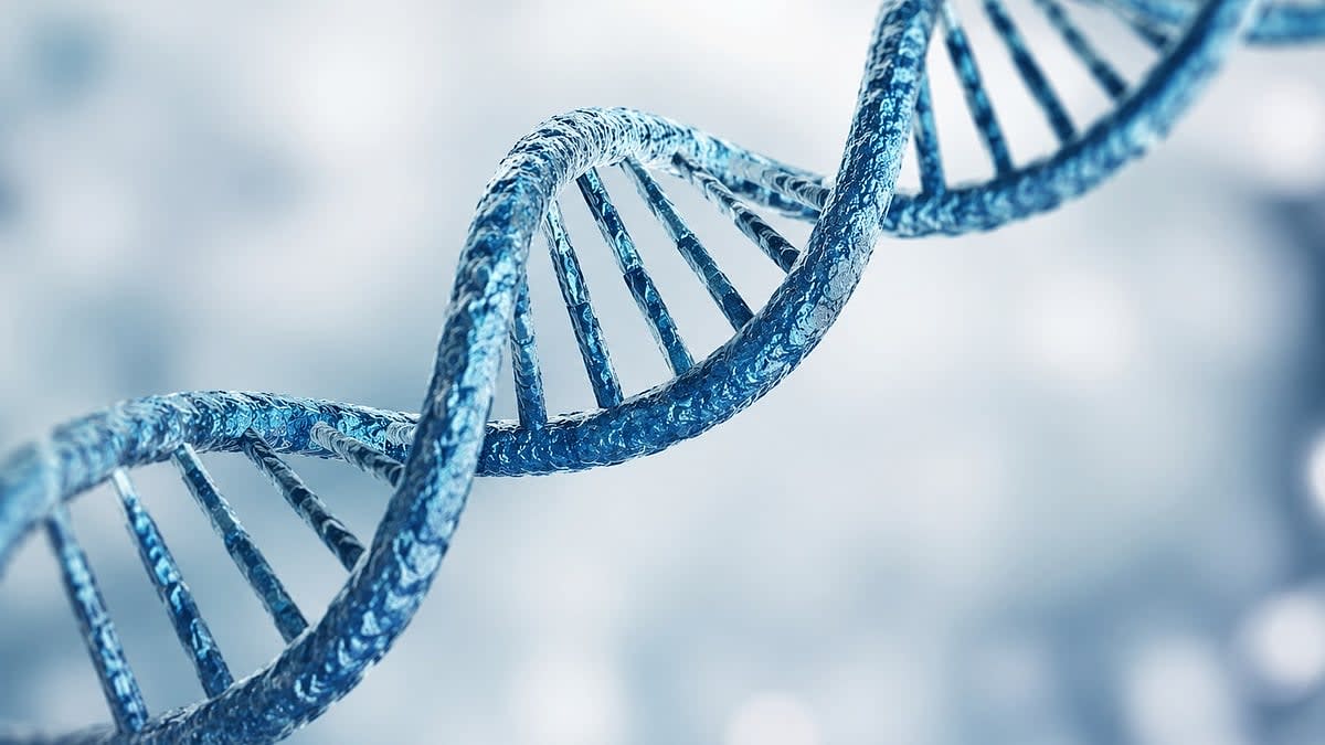 Scientists Discover How DNA Folding Causes Heart Defects