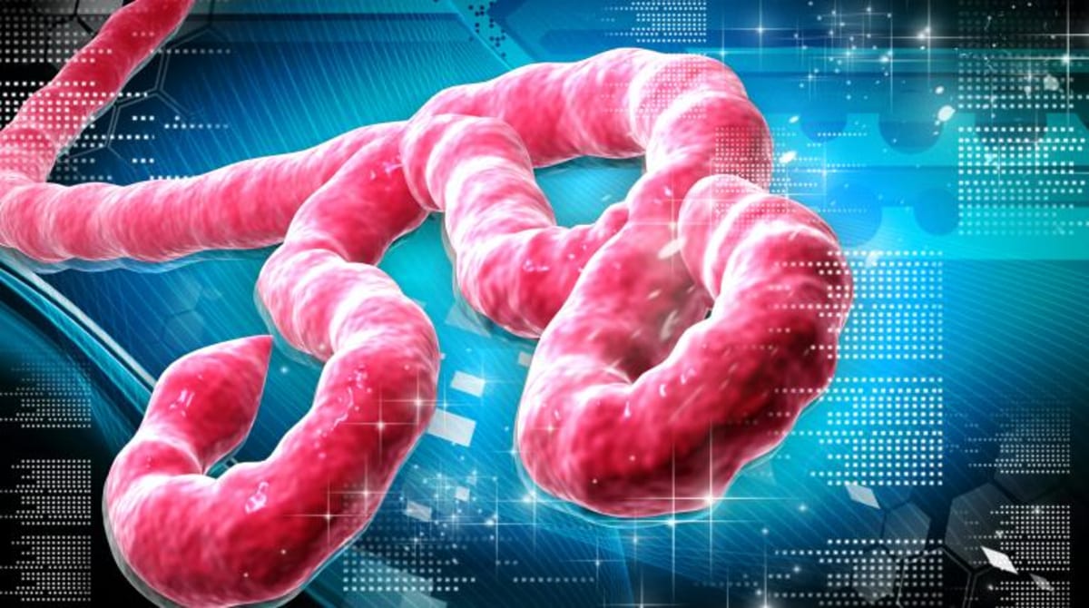 First Ebola Vaccine Trial Targets Deadly Congo Outbreak