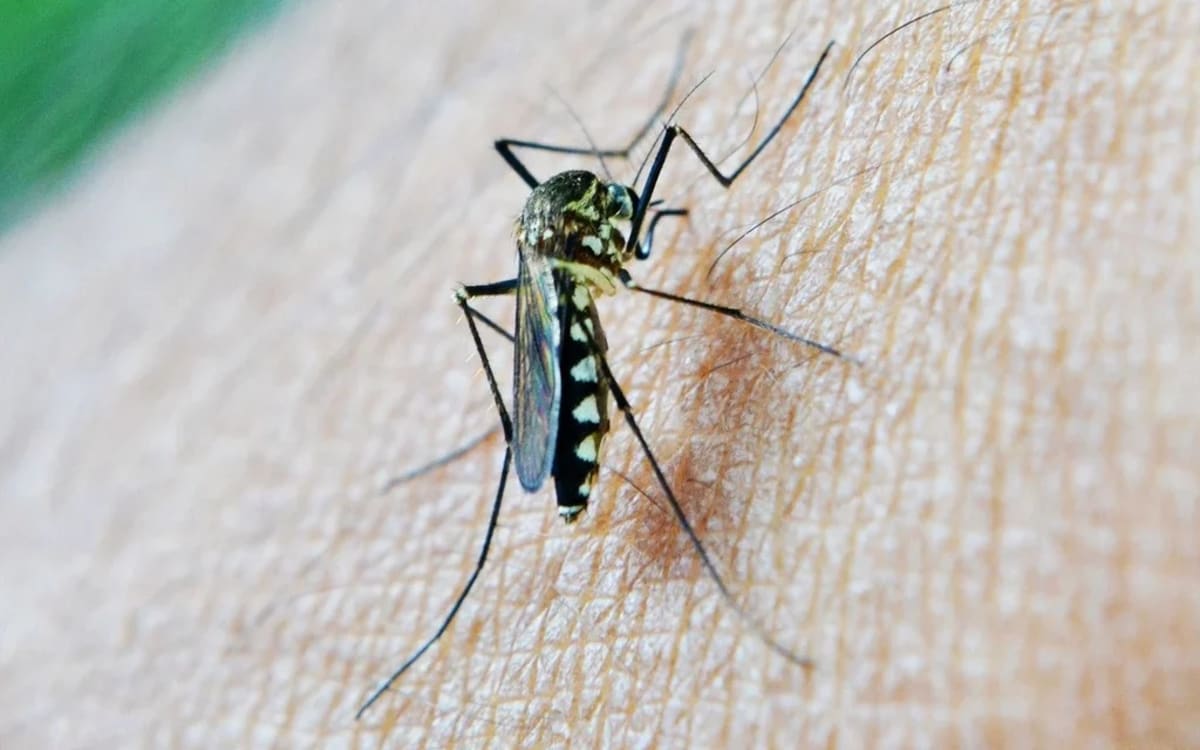 Healthcare worker administering malaria prevention treatment to child in Nigerian community clinic