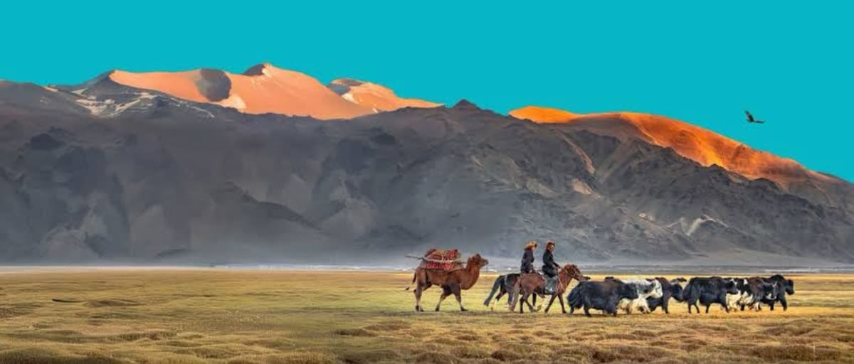 Vast grassland landscape with grazing livestock under open sky representing global rangeland ecosystems