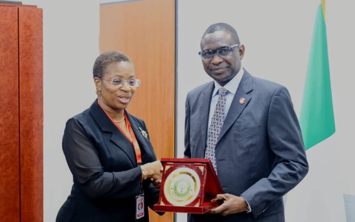 Nigeria Off Financial Grey List, Opens Economy to World