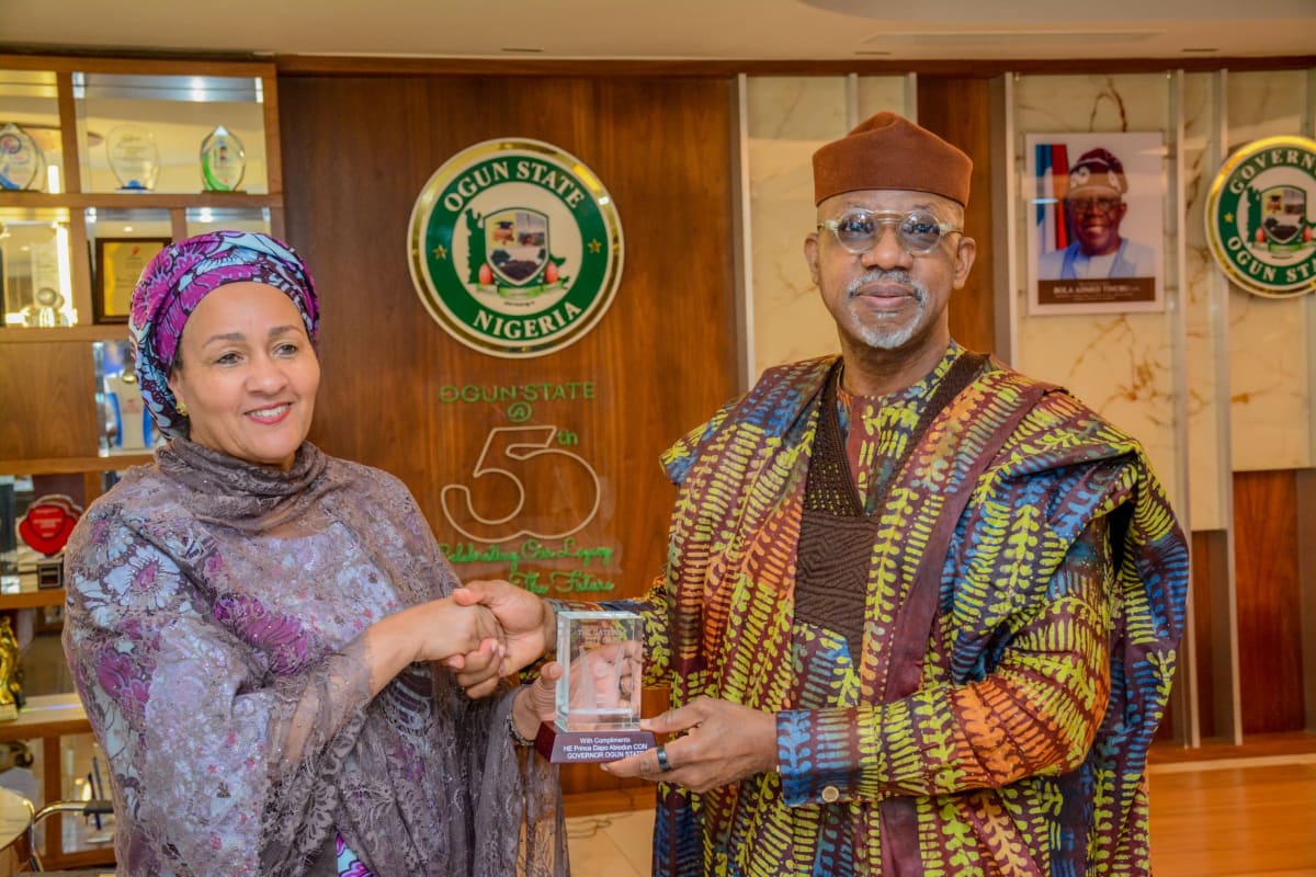100,000 Nigerian Women Build Businesses Through New Program
