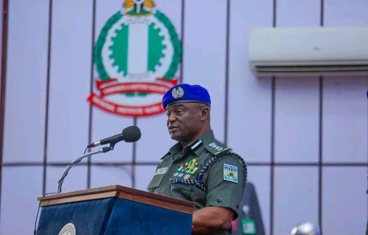 Nigeria Police Create New Unit to Protect Artists