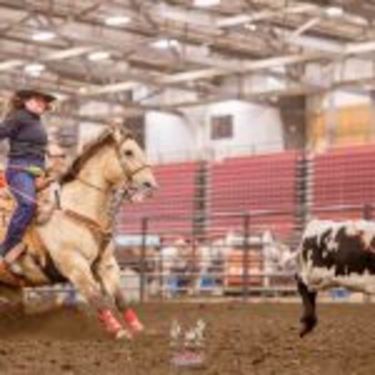 Nebraska Feedlot Turns Manure Into Clean Energy Pipeline - Image 2