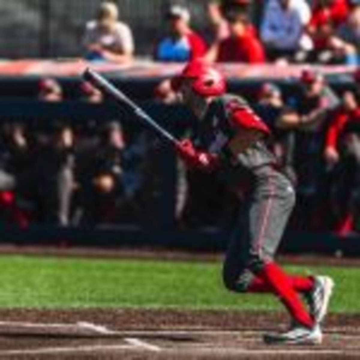 Nebraska Ranchers Rebuild After 900K-Acre Wildfire - Image 4