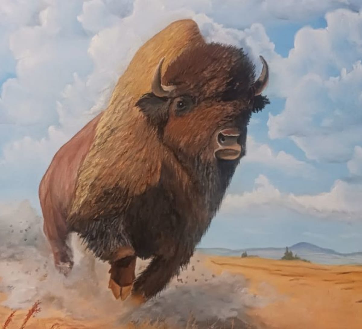 Nebraska Painter Fills COVID Lockdown with New Art Career - Image 2