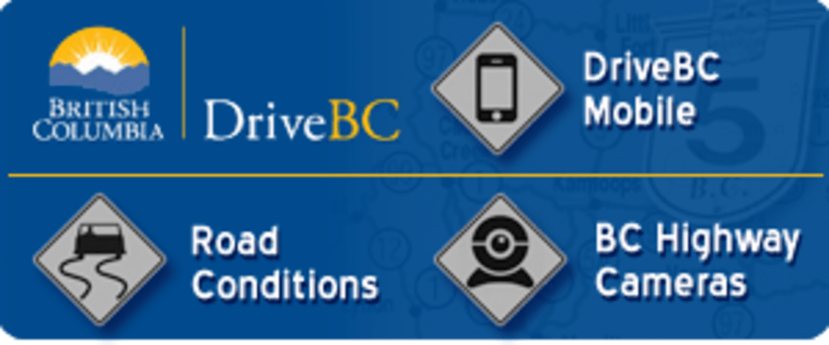 10 Years Later, Burrowing Owls Return to British Columbia - Image 2