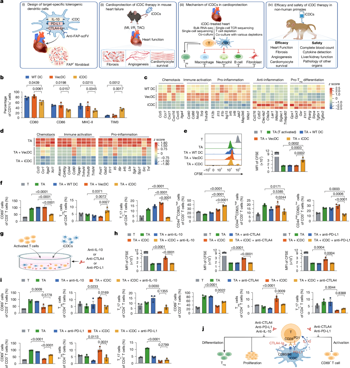 New Cell Therapy Reverses Heart Damage in Major Breakthrough - Image 2