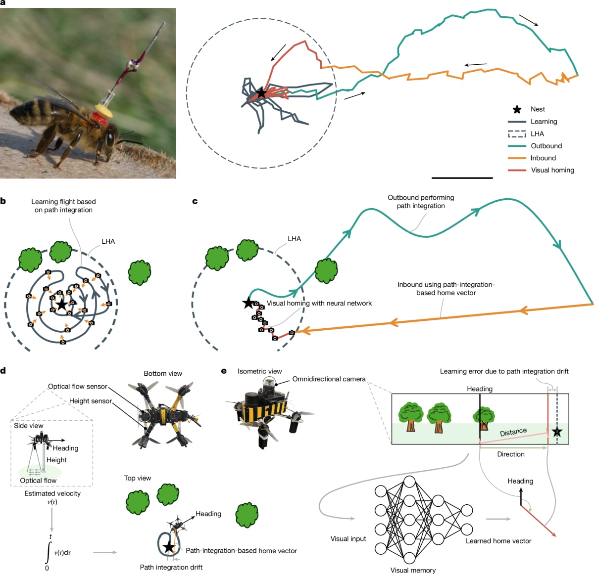 Tiny Drone Navigates Like a Bee Using 3.4 KB of Memory - Image 2