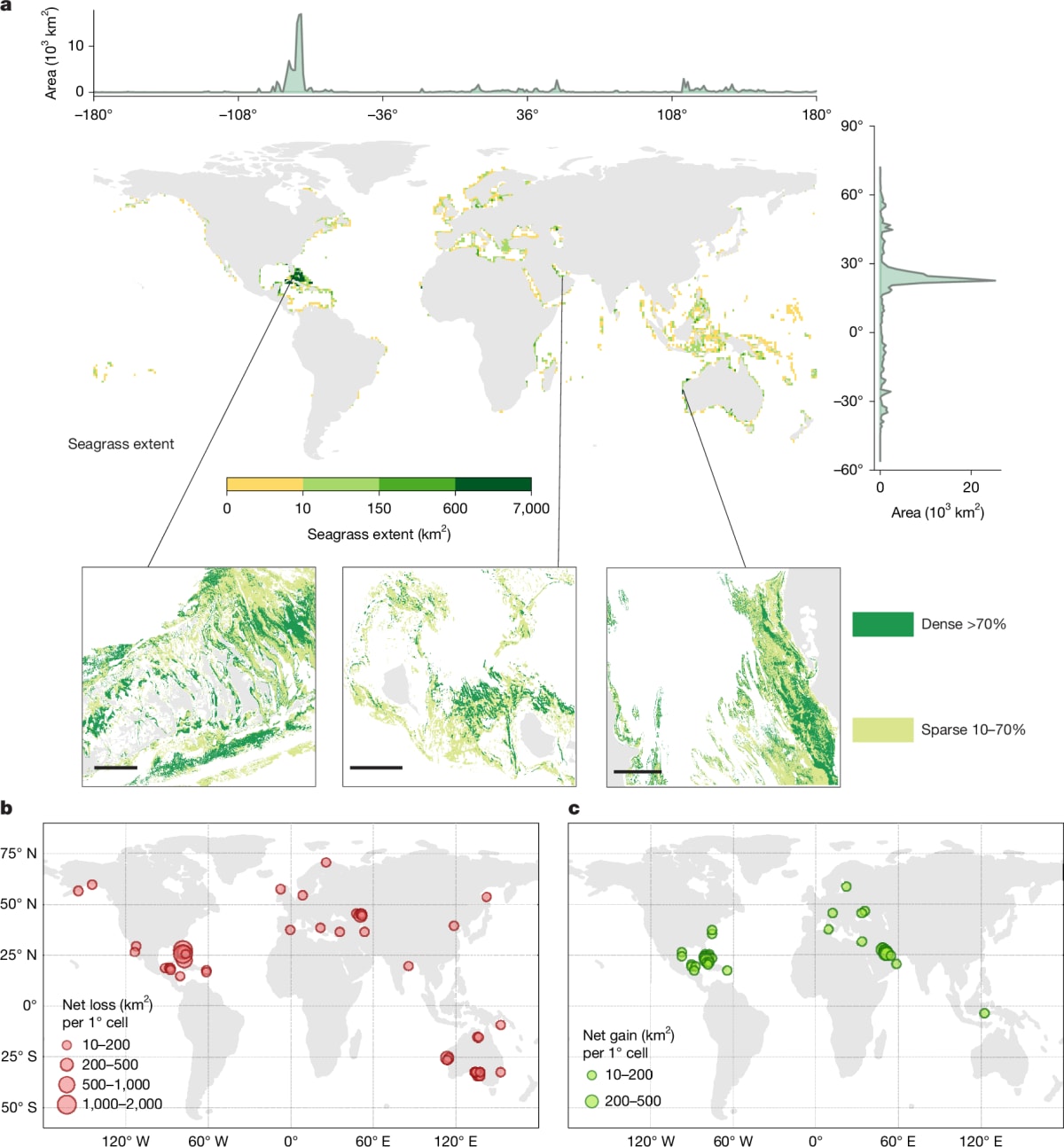 Scientists Map 148,000 km² of Seagrass to Save Ocean Meadows - Image 2