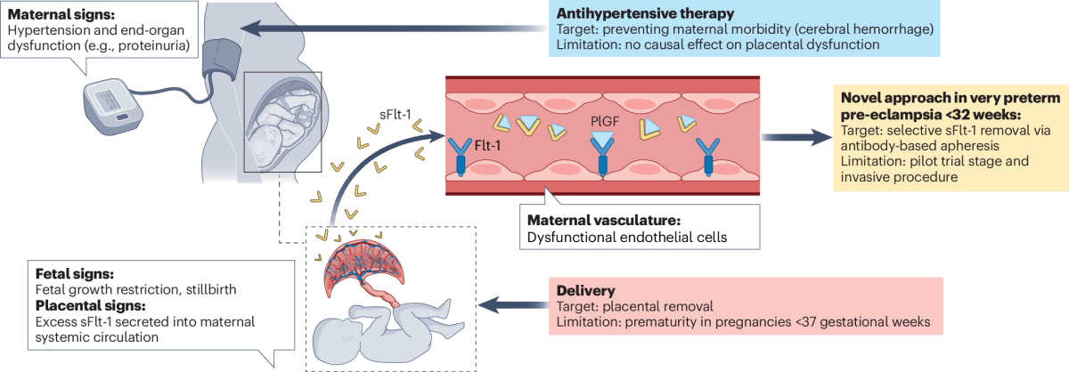 New Treatment Helps Moms With Dangerous Pregnancy Condition - Image 2
