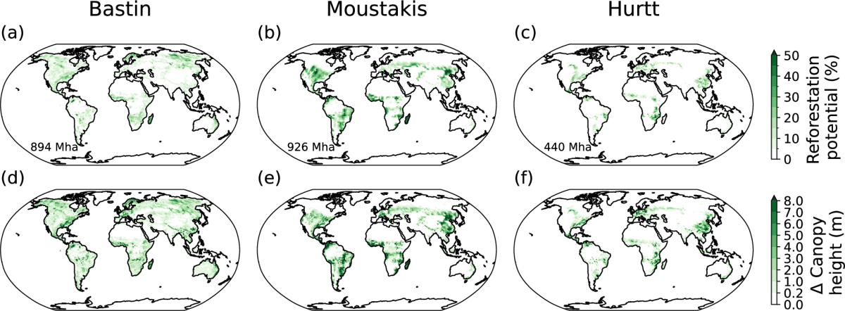 Smart Reforestation Could Cool Earth by 0.25°C - Image 2