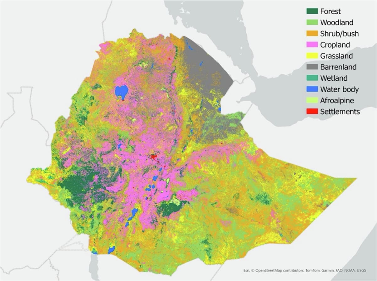 Ethiopia Charts Path for African Carbon Markets - Image 2