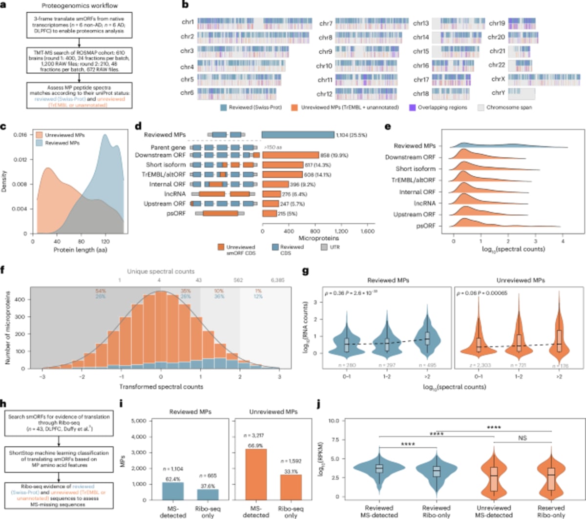 Scientists Map 1,000 Hidden Brain Proteins