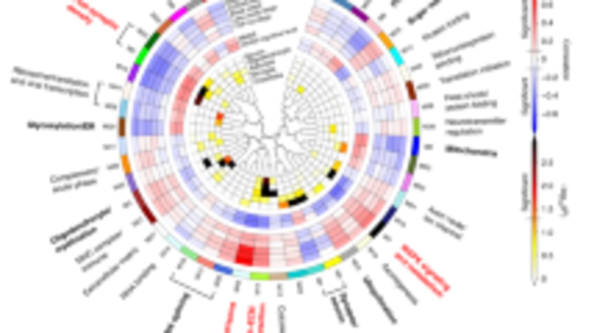 Scientists Map 1,000 Hidden Brain Proteins - Image 4