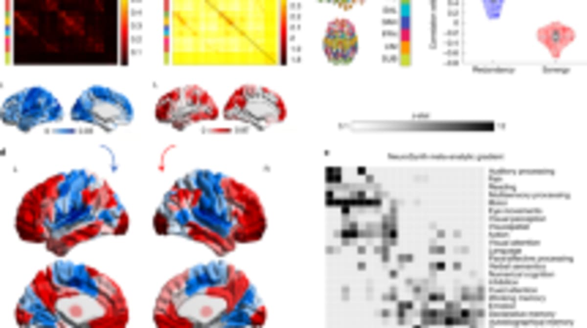 Scientists Create "Remote Control" for Brain Circuits - Image 5
