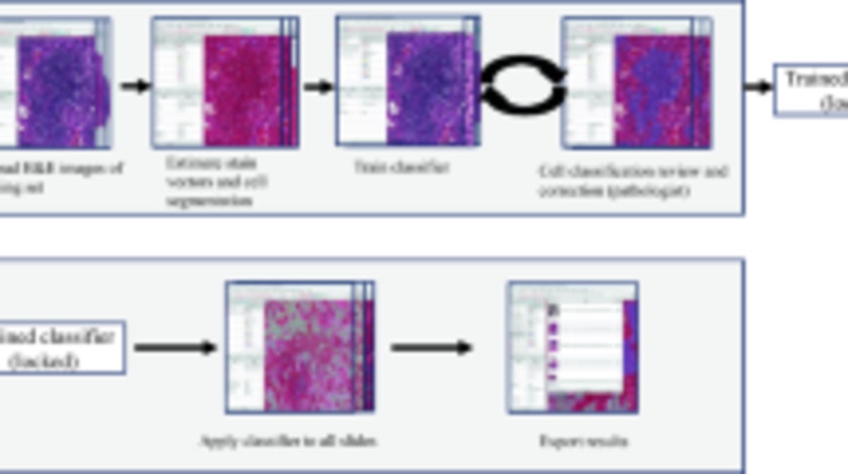 New Cancer Treatment Shows Promise in Early Trial - Image 5