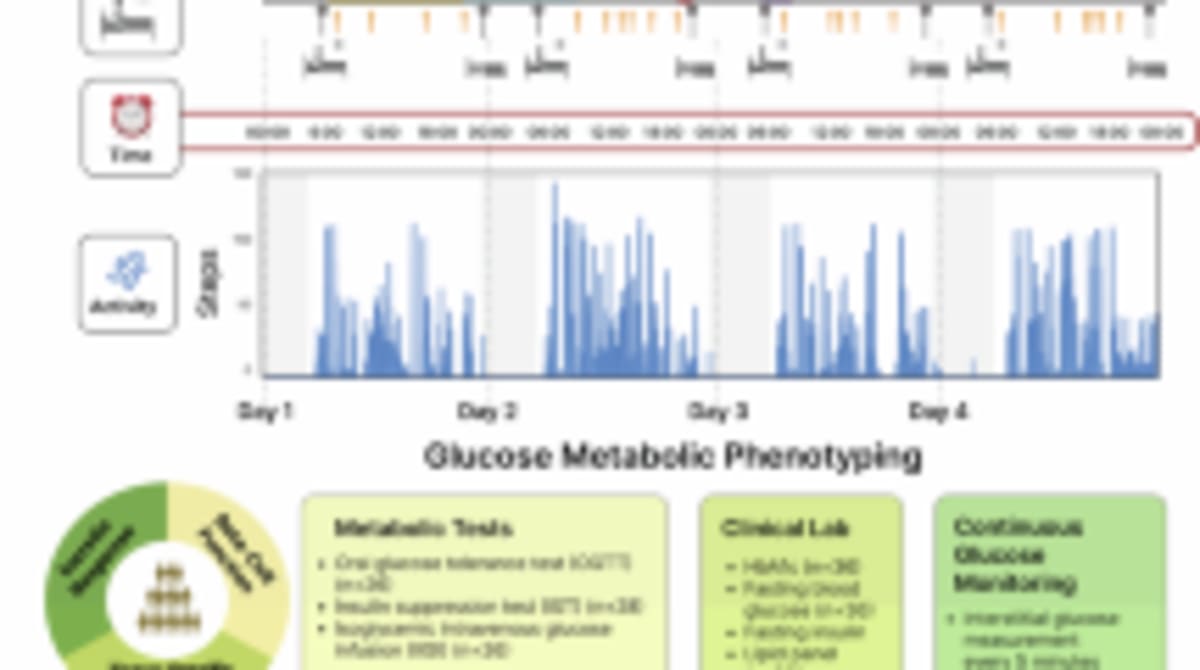 Smartwatch Could Soon Predict Diabetes Risk Early - Image 4