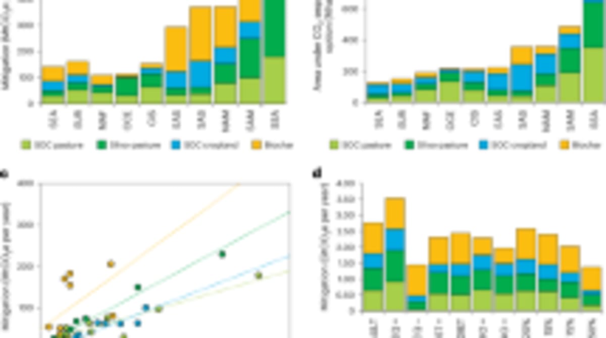 Ethiopia Charts Path for African Carbon Markets - Image 5