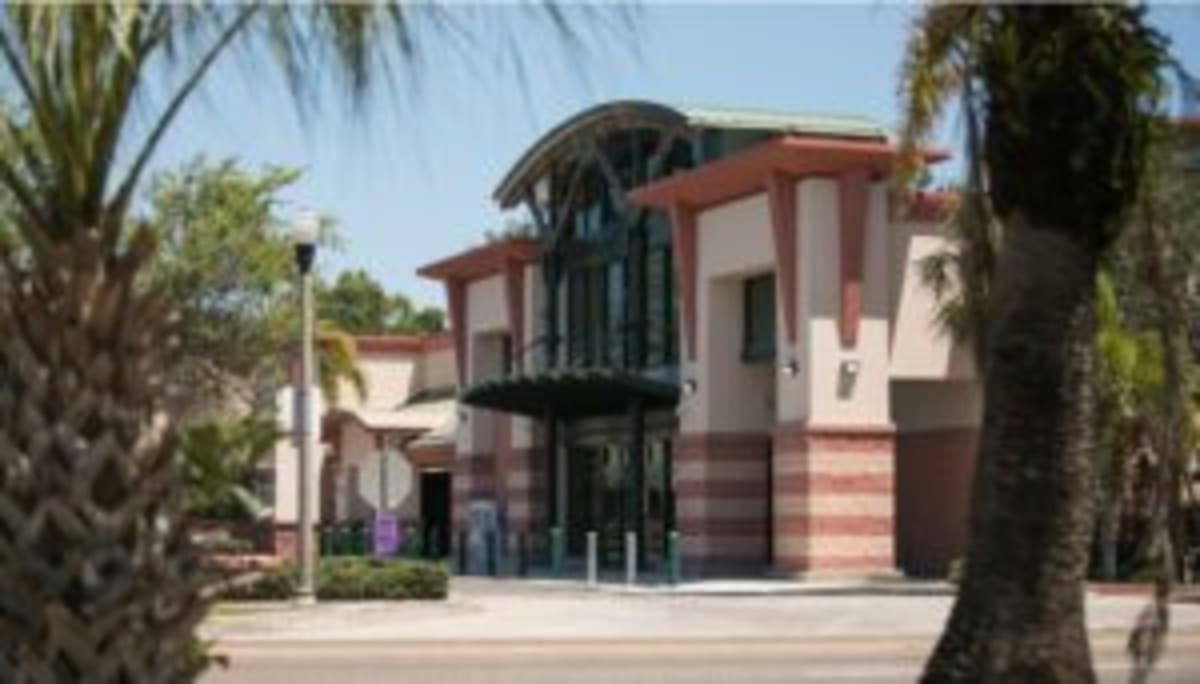 Tampa Bay Community Groups Need Your Help This Summer - Image 4