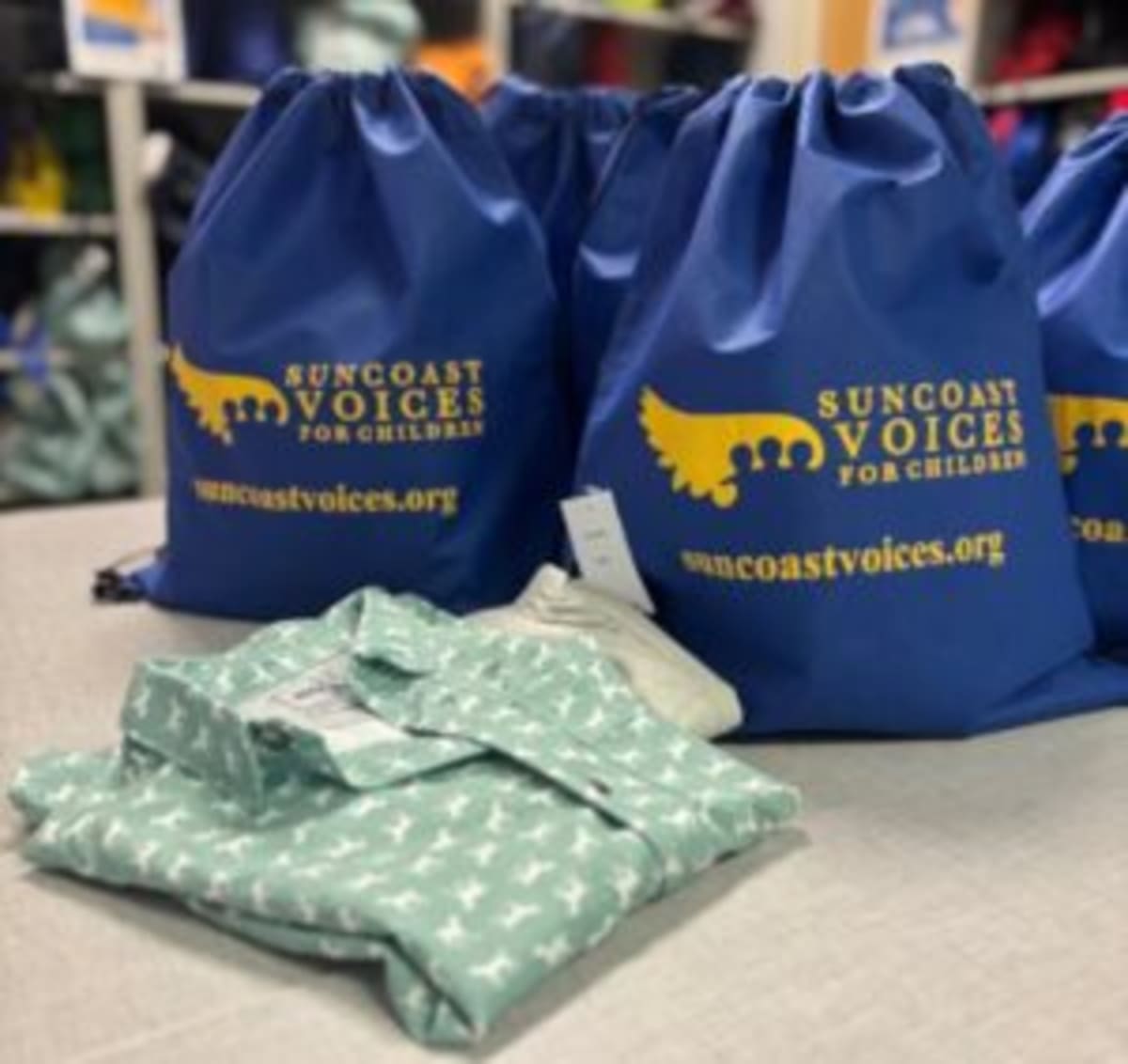 Tampa Bay's 5 Ways to Volunteer This September - Image 5