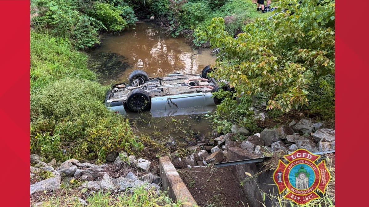 Mississippi Firefighters Save Driver From Submerged Car - Image 2